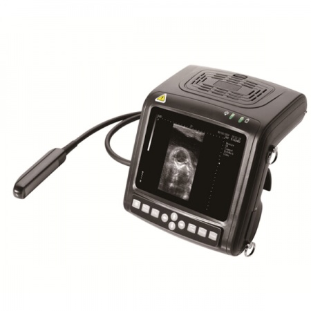 Портативный ветеринарный УЗИ сканер KX-5200V